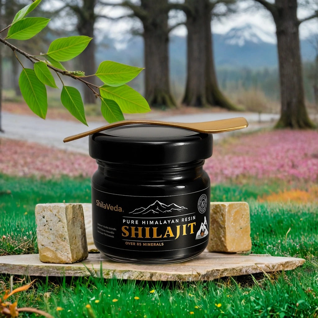 Pure Himalayan Shilajit Resin β Authentic & Lab-Tested