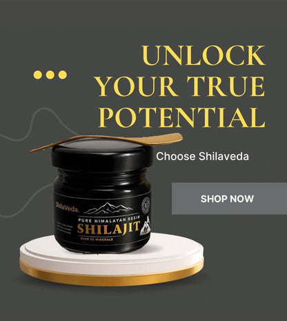 Pure Himalayan Shilajit Resin – Authentic & Lab-Tested